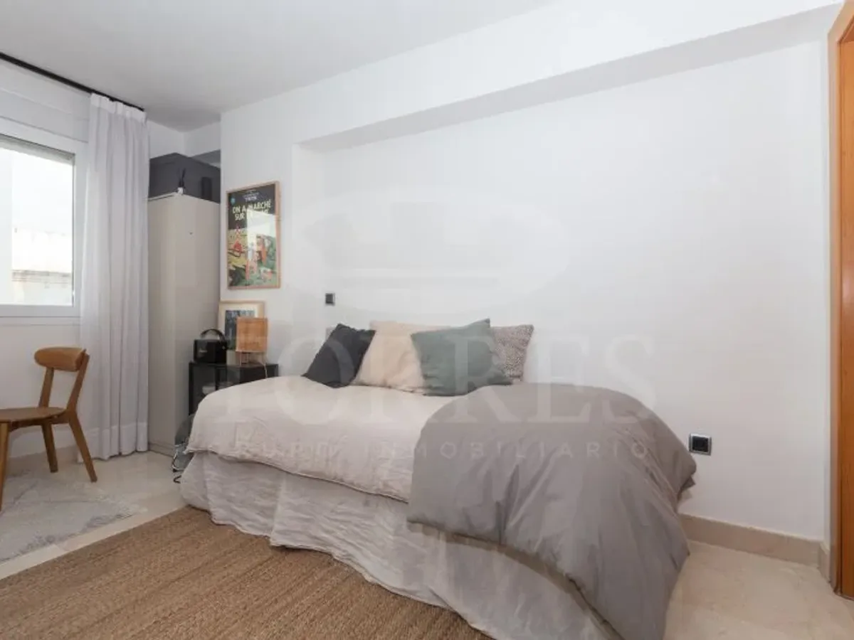 Estudio en Avd. España