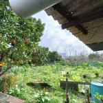 Terreno Construção Moradia Cacia 3