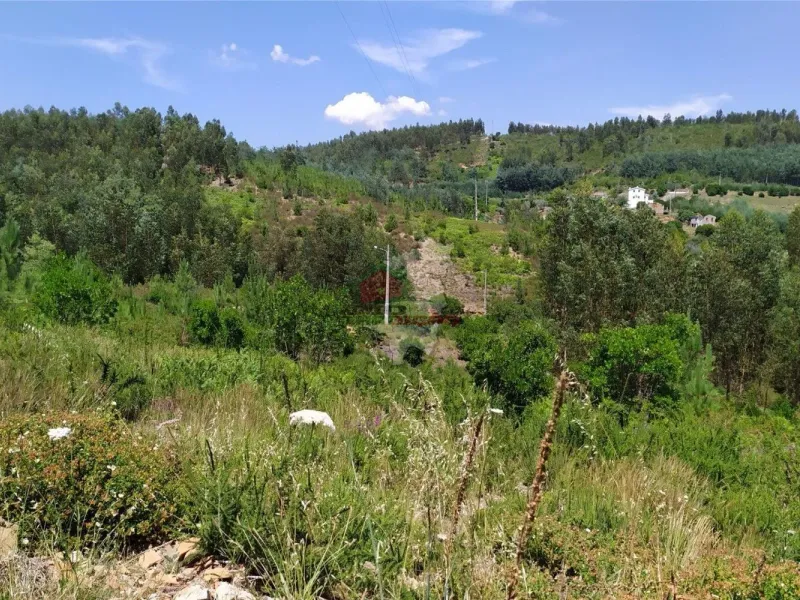 Terreno em Portela do Fojo-Machio