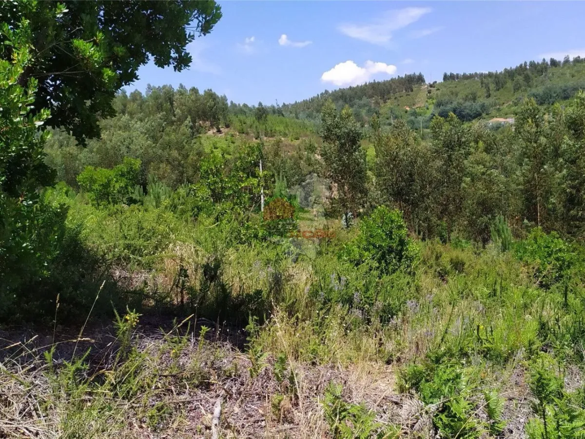 Terreno em Portela do Fojo-Machio