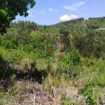 Terreno em Portela do Fojo-Machio 4