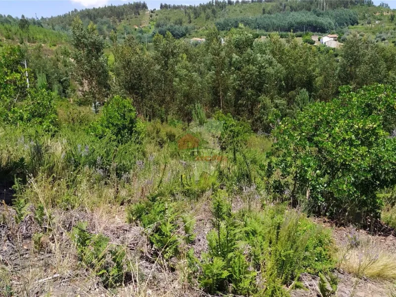 Terreno em Portela do Fojo-Machio