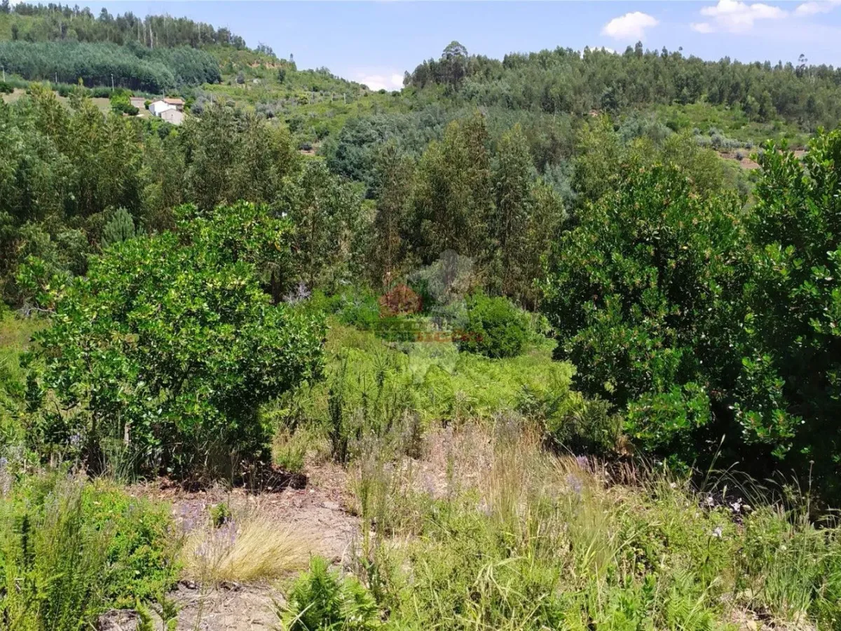 Terreno em Portela do Fojo-Machio