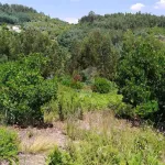 Terreno em Portela do Fojo-Machio 6