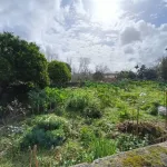 Terreno Construção Moradia Cacia 7