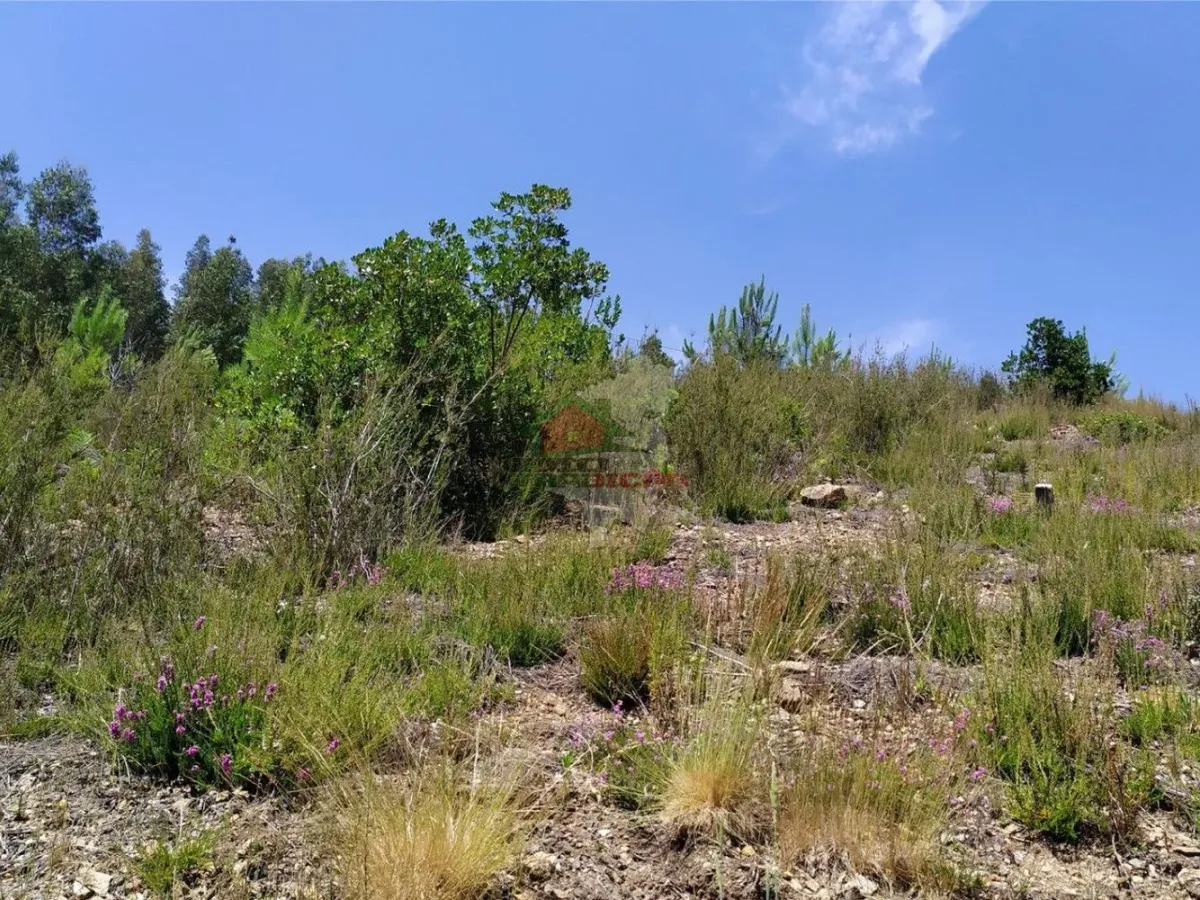 Terreno em Portela do Fojo-Machio