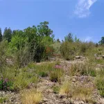 Terreno em Portela do Fojo-Machio 7