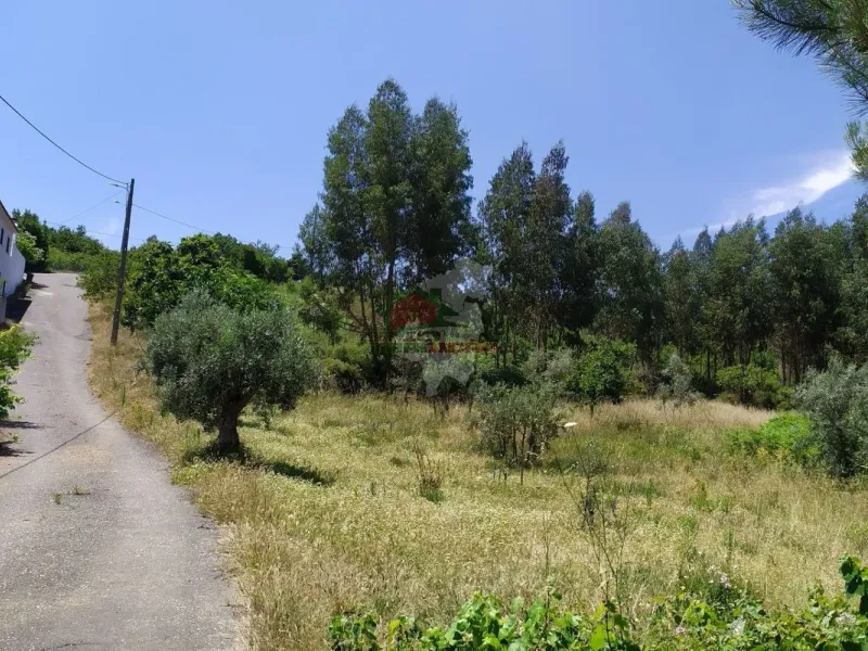 Terreno em Portela do Fojo-Machio