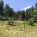 Terreno em Portela do Fojo-Machio 10