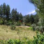 Terreno em Portela do Fojo-Machio 11