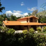 Quinta c/ casa Habitação em Sarzedo (cerca 6 mil m2) 1