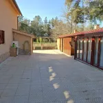 Quinta c/ casa Habitação em Sarzedo (cerca 6 mil m2) 6