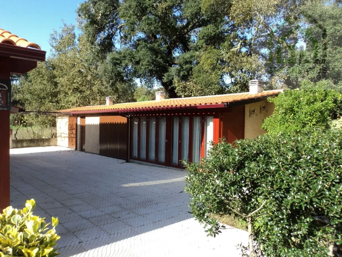 Quinta c/ casa Habitação em Sarzedo (cerca 6 mil m2)