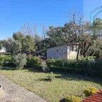 Quinta c/ casa Habitação em Sarzedo (cerca 6 mil m2) 8