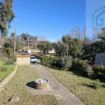 Quinta c/ casa Habitação em Sarzedo (cerca 6 mil m2) 9