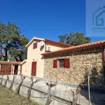 Quinta c/ casa Habitação em Sarzedo (cerca 6 mil m2) 12