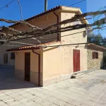 Quinta c/ casa Habitação em Sarzedo (cerca 6 mil m2) 13