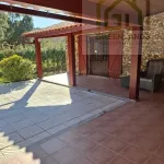 Quinta c/ casa Habitação em Sarzedo (cerca 6 mil m2) 17