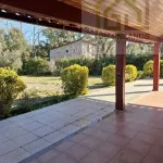 Quinta c/ casa Habitação em Sarzedo (cerca 6 mil m2) 18