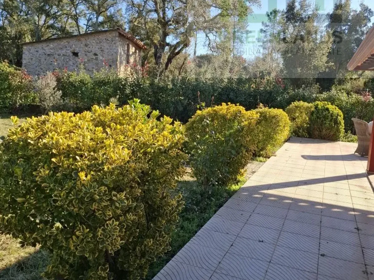 Quinta c/ casa Habitação em Sarzedo (cerca 6 mil m2)