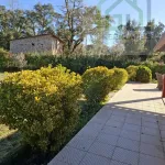 Quinta c/ casa Habitação em Sarzedo (cerca 6 mil m2) 19