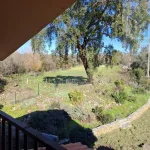 Quinta c/ casa Habitação em Sarzedo (cerca 6 mil m2) 20