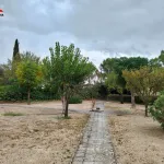 Parcela a 2,5 km de Albacete 18