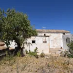 House for sale in Algarinejo 4