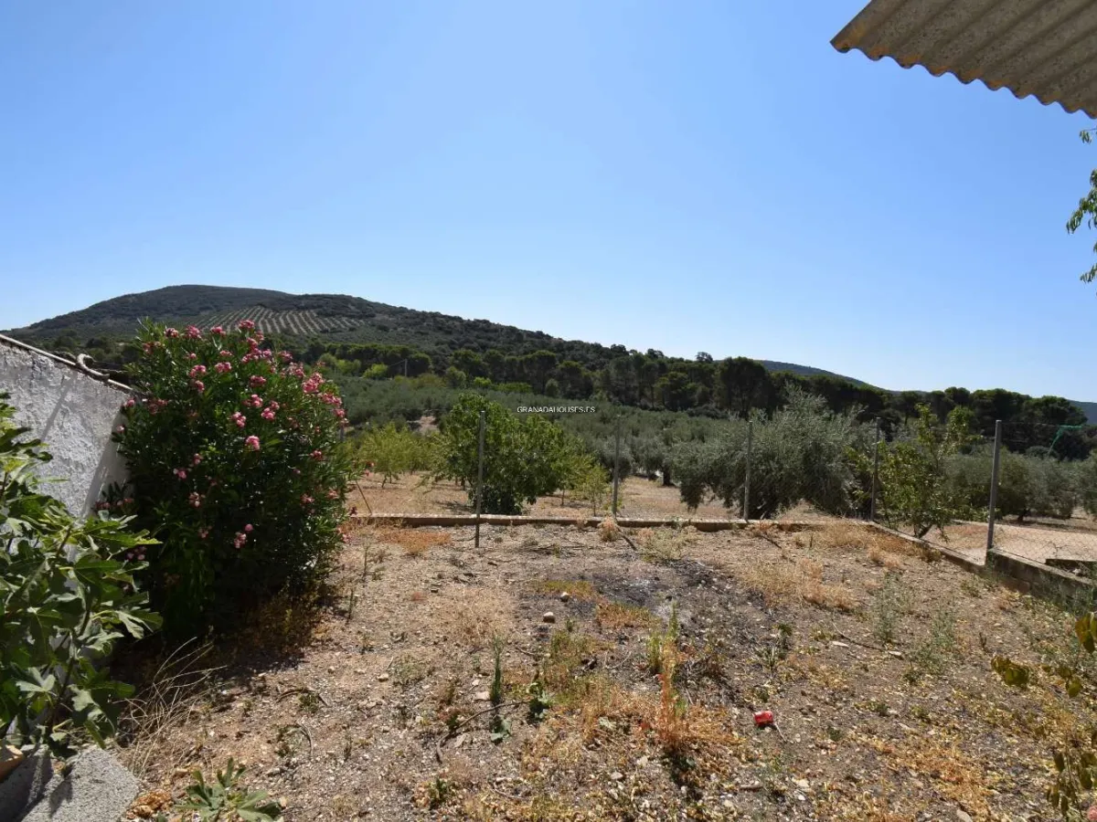 House for sale in Algarinejo