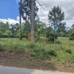 Terreno para construção 5