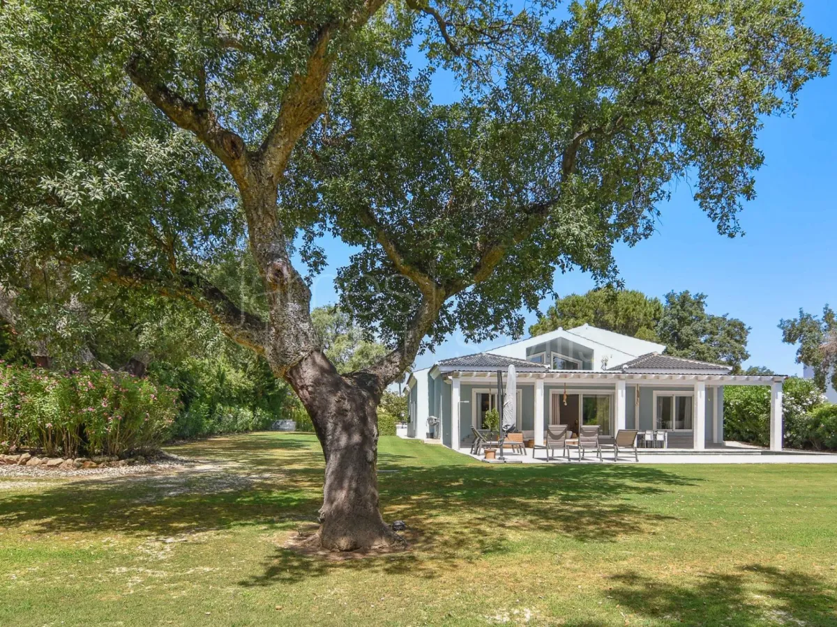 Wonderful … … …