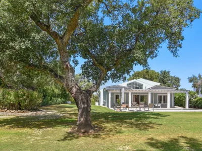 Wonderful … … …