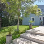 Wonderful … … … 2