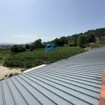 Terreno de Produção de Mirtilos 8