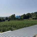 Terreno de Produção de Mirtilos 20