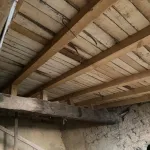 CASA CON PATIO PARA REFORMA INTEGRAL EN VALLECILLO (LEON) 20