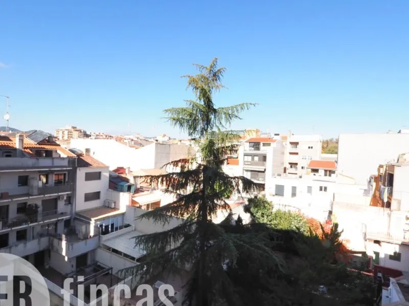 Piso en calle Doctor Salvà, Terrassa