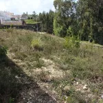 Terreno (550m2) p/ const. Mor. - S. Mart. Bispo 1