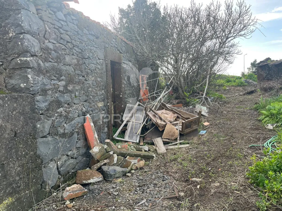 MORADIA TÉRREA E PALHEIRO COM TERRENO NA RAPOSEIRA-MADEIRA PARA RECUPERAR