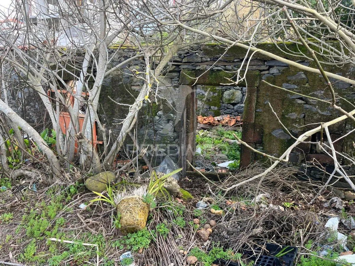 MORADIA TÉRREA E PALHEIRO COM TERRENO NA RAPOSEIRA-MADEIRA PARA RECUPERAR