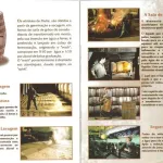 Brochura A arte de beber Whisky 5