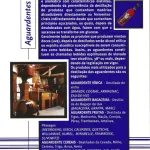 Manual de bolso dos produtos da marca Seagram  4