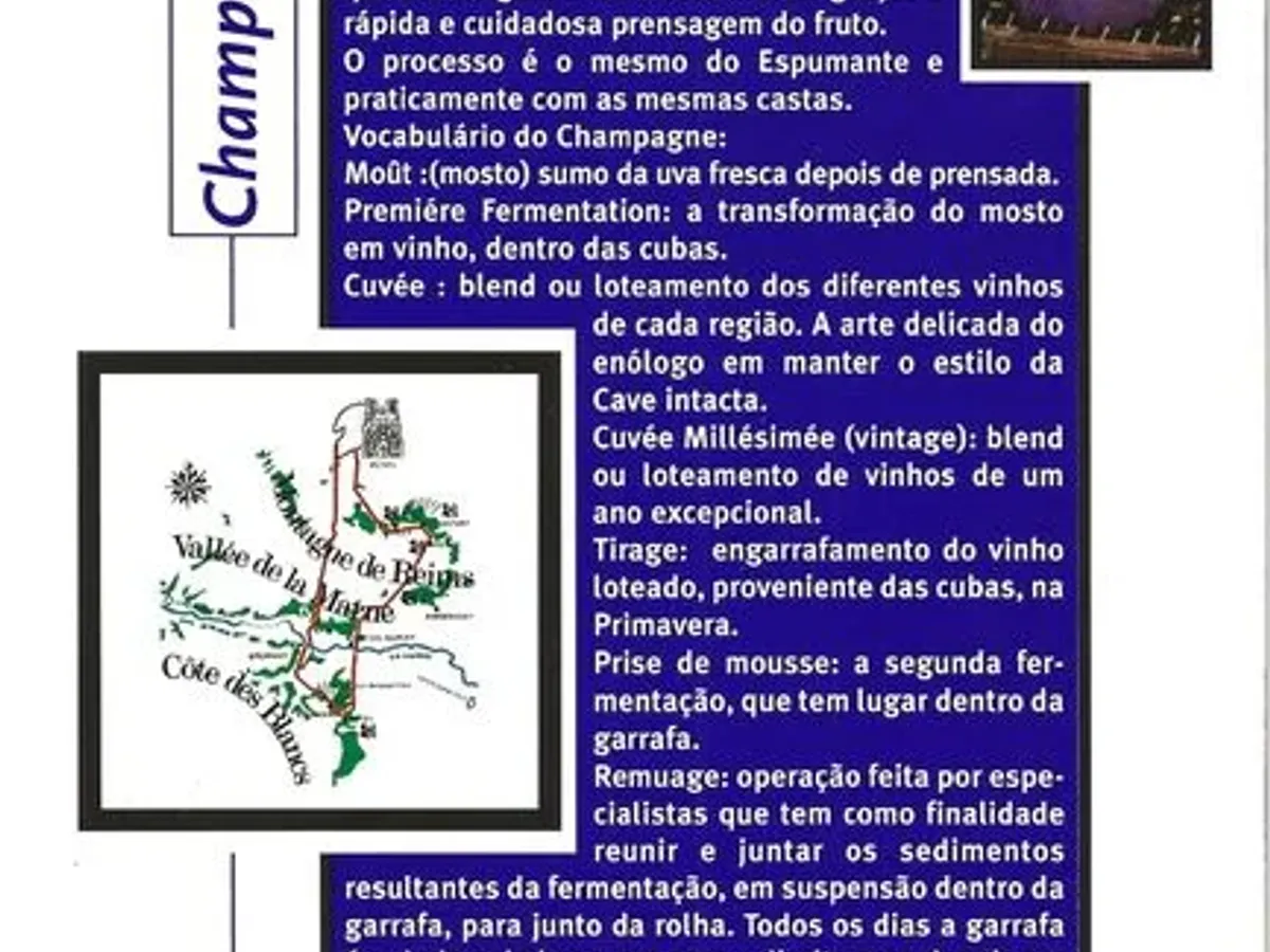 Manual de bolso dos produtos da marca Seagram 