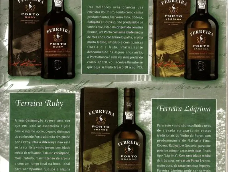 Brochura Porto Ferreira 