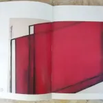 Livro - O Génio do Olhar  4