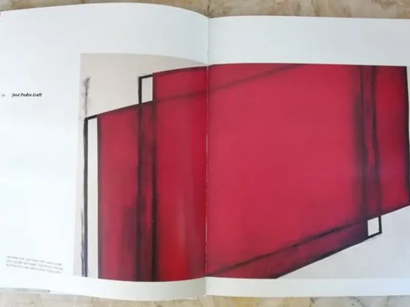 Livro - O Génio do Olhar 