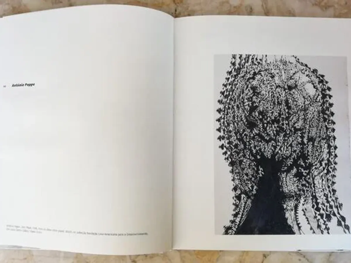 Livro - O Génio do Olhar 