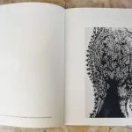 Livro - O Génio do Olhar  5