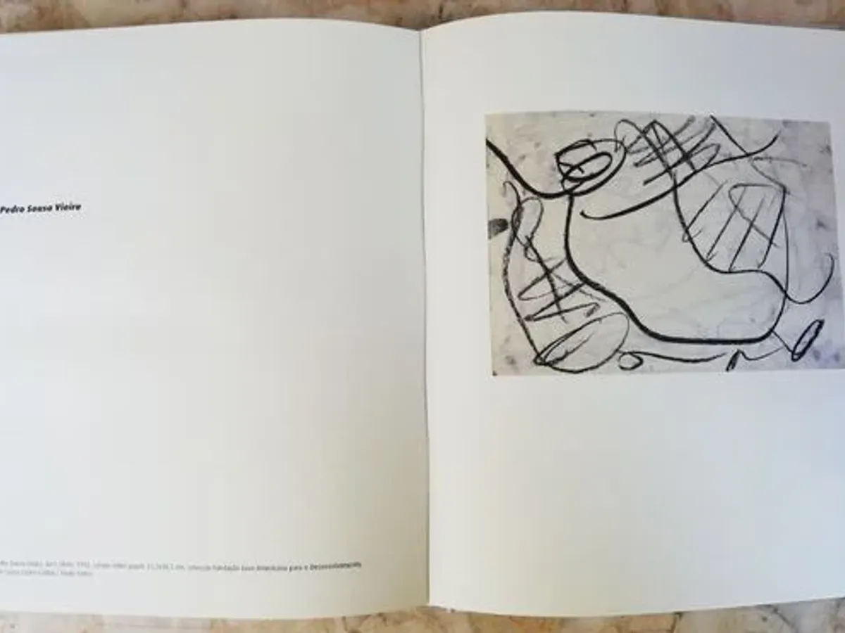 Livro - O Génio do Olhar 