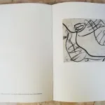 Livro - O Génio do Olhar  6